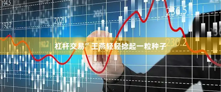 杠杆交易”王燕轻轻捻起一粒种子