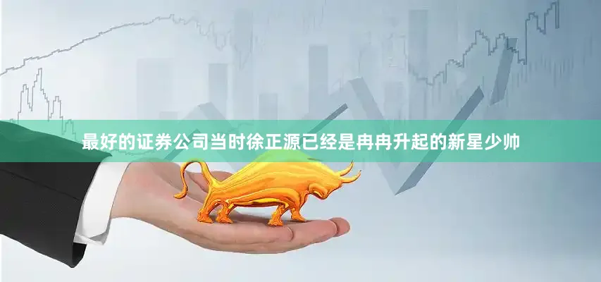 最好的证券公司当时徐正源已经是冉冉升起的新星少帅