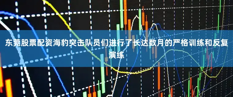 东莞股票配资海豹突击队员们进行了长达数月的严格训练和反复演练